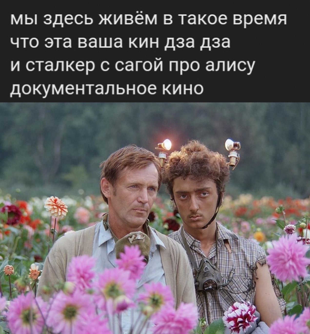 мы здесь живём в такое время что эта ваша кин дза дза и сталкер с сагой про алису документальное кино