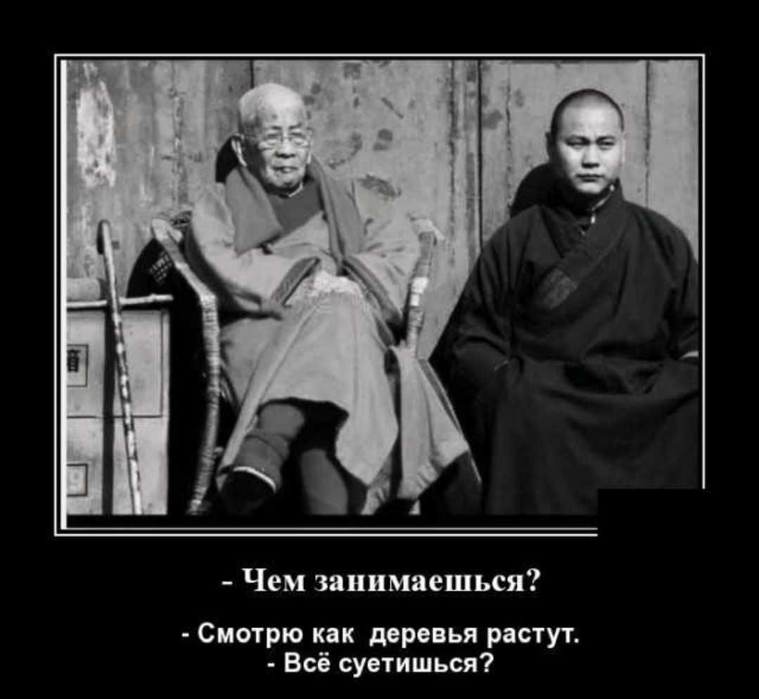 Чем занимаешься Смотрю как деревья растут Всё суетишься