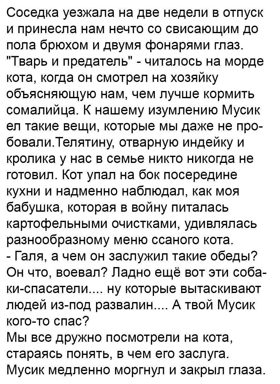 Соседка уезжала на две недели в отпуск и принесла нам нечто со свисающим до пола брюхом и двумя фонарями глаз Тварь и предатель читалось на морде кота когда он смотрел на хозяйку объясняющую нам чем лучше кормить сомалийца К нашему изумлению Мусик ел такие вещи которые мы даже не про бовалиТелятину отварную индейку и кролика у нас в семье никто никогда не готовил Кот упал на бок посередине кухни и