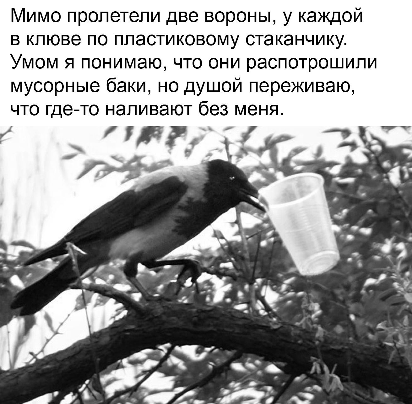 В финском языке есть слово КаізагіКаппіг калсарикяннит что в переводе  значит выпивать дома в нижнем белье не планируя никуда выходить Хорошее  слово Теперь моё любимое - выпуск №1165715