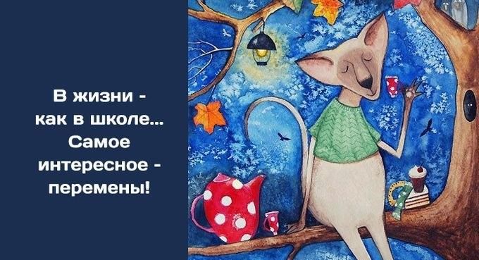 В жизни как в школе Самое интересное перемены