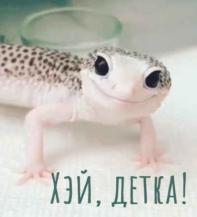 1эй, деткл!