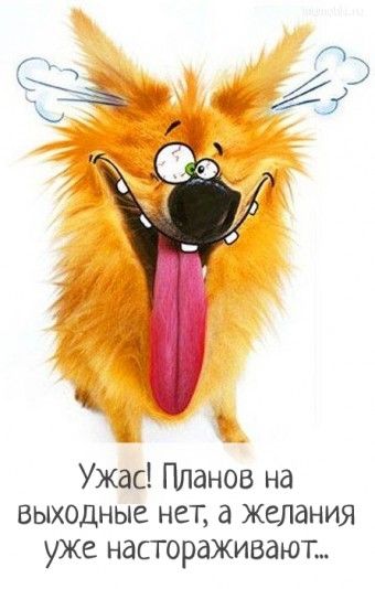6 Ужас Планов на БЫХОДНЫЗ НЕТ ЖСПдНИЯ уже настораживашт