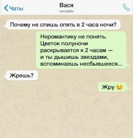 Чаты Вася Почему не спишь опять в 2 часа ночи Жрешь Неромантику не понять ЦВЕТОК ПОЛУНОЧИ раскрывается к 2 часам И ТЫ дышишь звездами вспоминаешь есбывшееся Жру