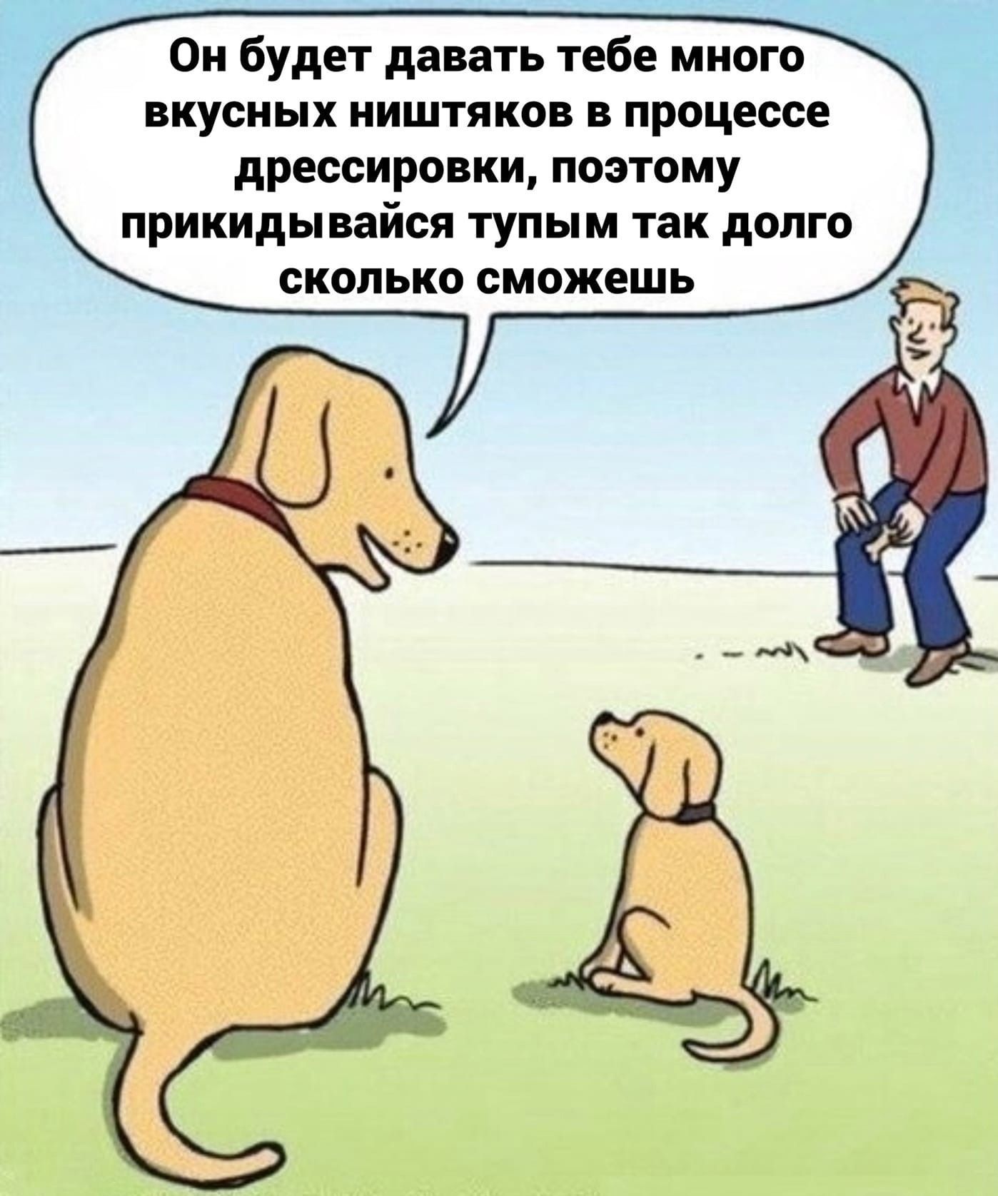 Прикинься киса песиком. Анекдоты про собак. Шутки про собак. Анекдоты про собак смешные. Анекдоты про собак в картинках.