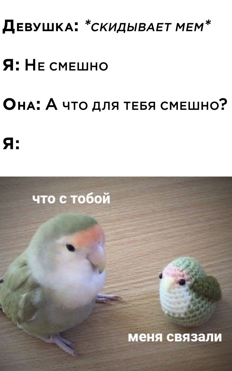 дЕВУЩКА СКИДЫВАЕТ МЕм Я НЕ смешно ОНА А что для ТЕБЯ СМЕшно меня СВЯЗЭЛИ
