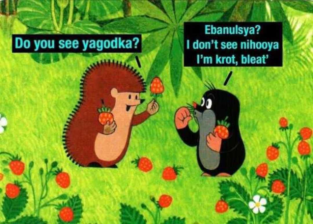 5 Вуз ми
