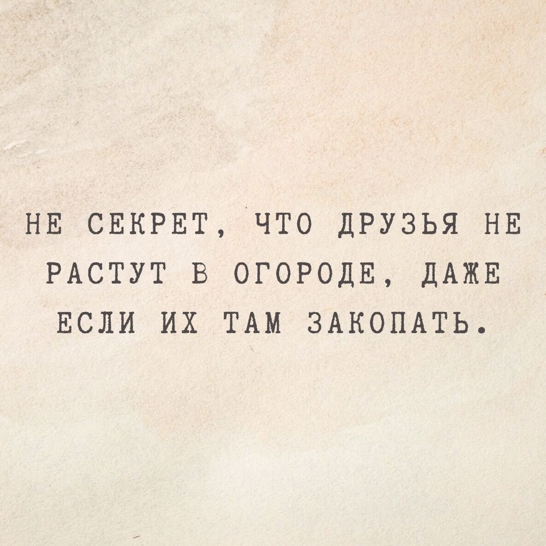 НЕ СЕКРЕТ ЧТО ДРУЗЬЯ НЕ РАСТУТ В 0Г0Р0ДЕ ДАЖЕ ЕСЛИ ИХ ТАМ ЗАКОПАТЬ