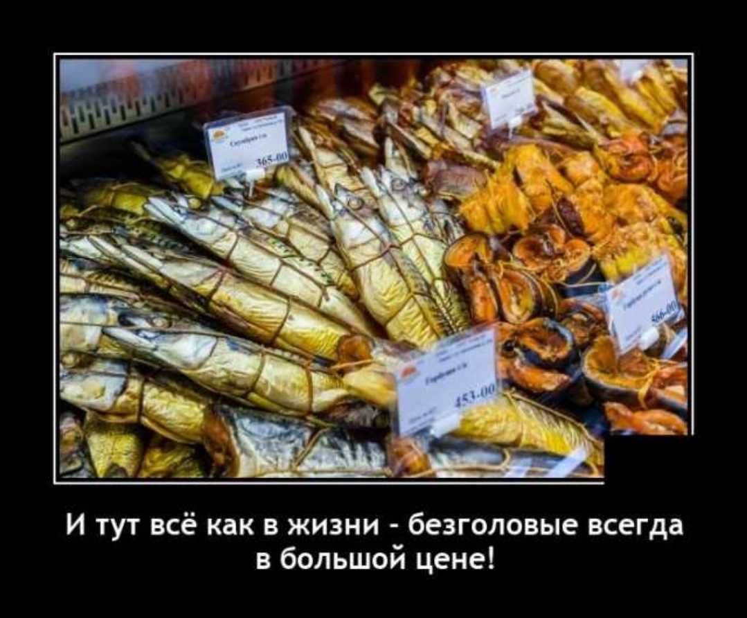 и тут всё как в жизни безголовые всегда в большой цене