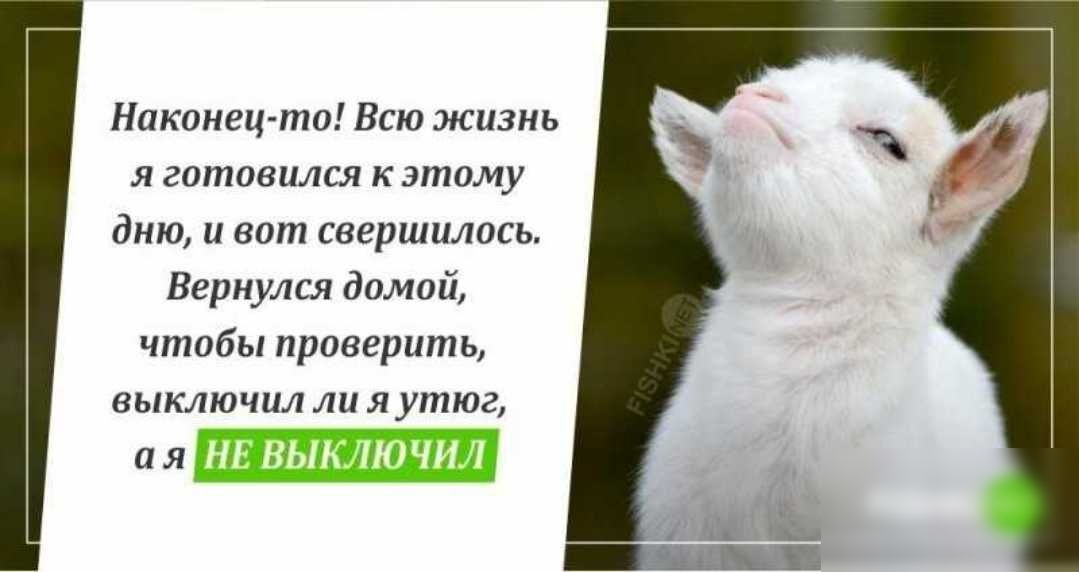 Наконец то Всю жизнь я готовился к этому дню и вот свершилось Вернулся домой чтобы проверить выключил ли я утюг а я