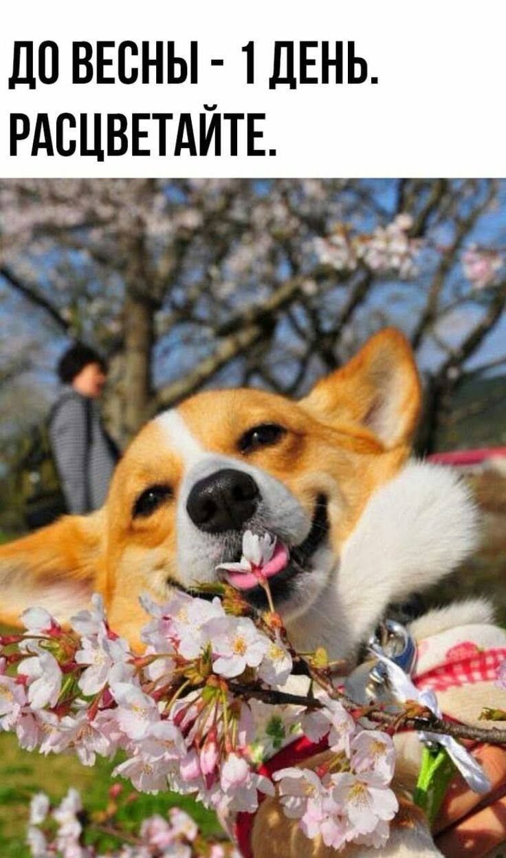 ч Е Т И А Т Е В Ц Е А Р П гг Д 1 _ ы с г В 0 Д