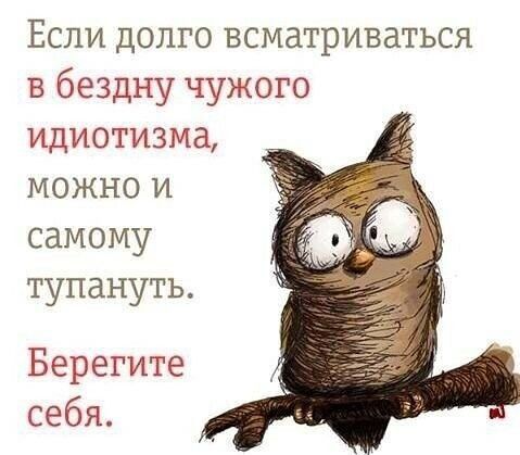 Если долго всматриваться в бездну чужого идиотизма можнои самому тупануть Берегите себя