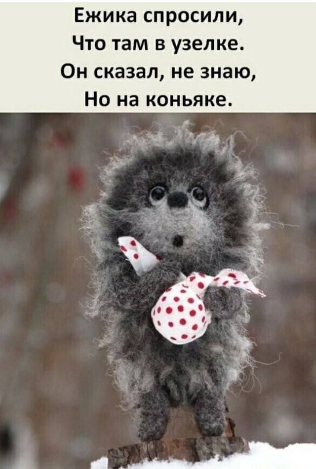 Ежика спросили Что там в узелке Он сказал не знаю Но на коньяке