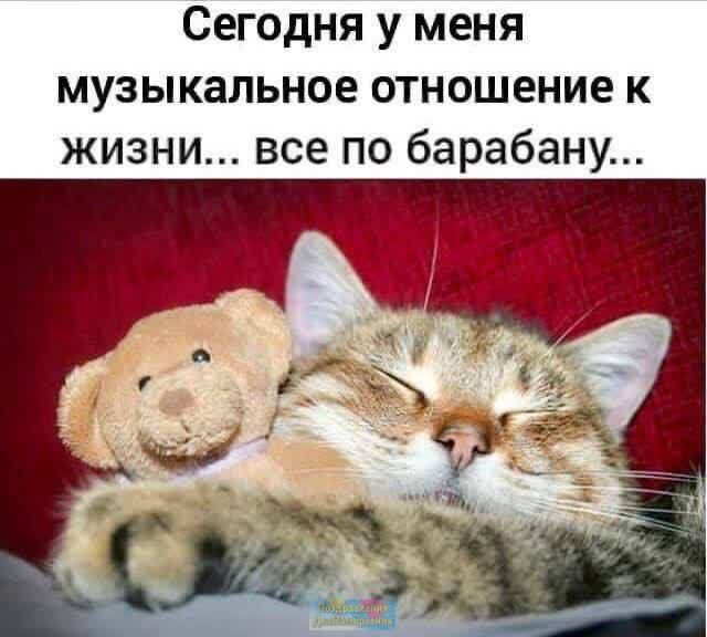 Сегодня у меня музыкальное отношение к жизни все по барабану
