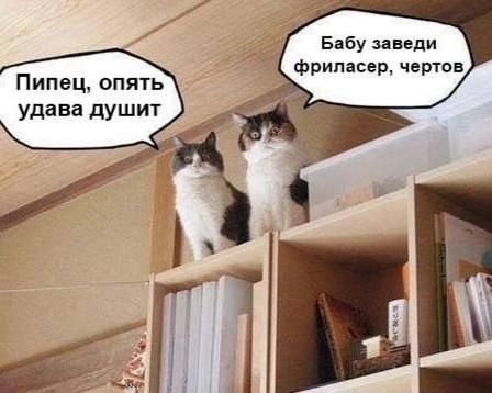 Бабу заведи фримсер черта Пипец опять удава душит