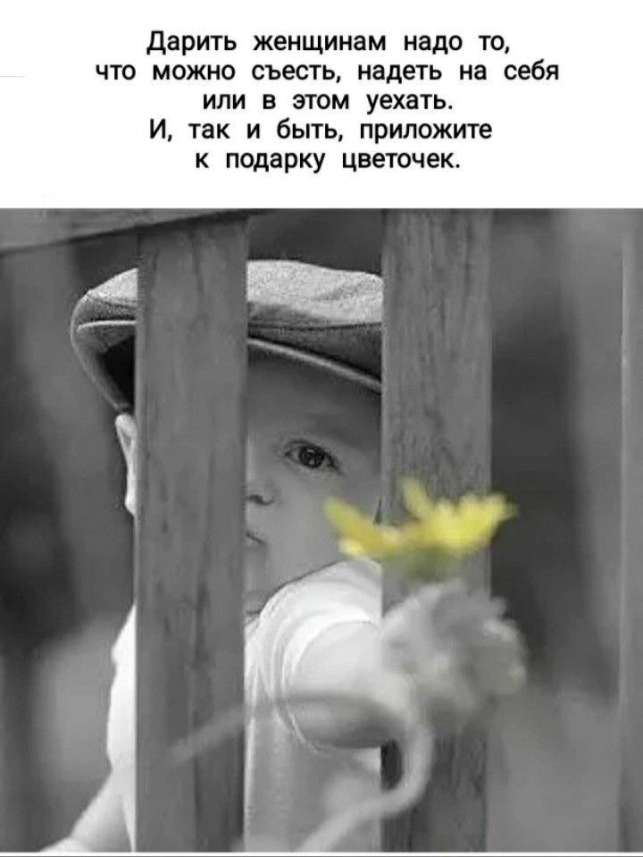 дарить женщинам надо то что можио съесть надела на себя или В ЭТОМ УЕХЗТЬ И так и быть приложите к подарку цветочек