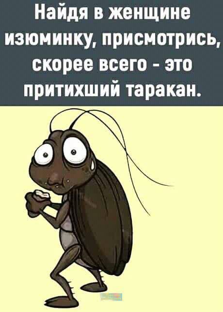 Найдя в женщине изюминку присмотрись скорее всего это притихший таракан
