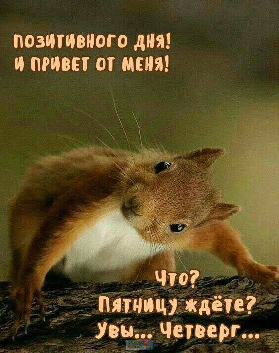 позитивного дня и призы а меня __д Пятницу ждете Уои Четоергд