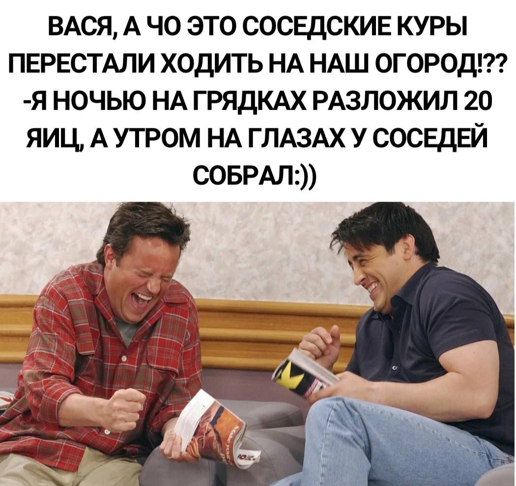 ВАСЯ А чо это соседские куры ПЕРЕСТАЛИ ходить НА НАш огородт я ночью НА ГРЯДКАХ РАзложил 20 яиц А утром НА ГЛАЗАХ У сосвдЕй старт