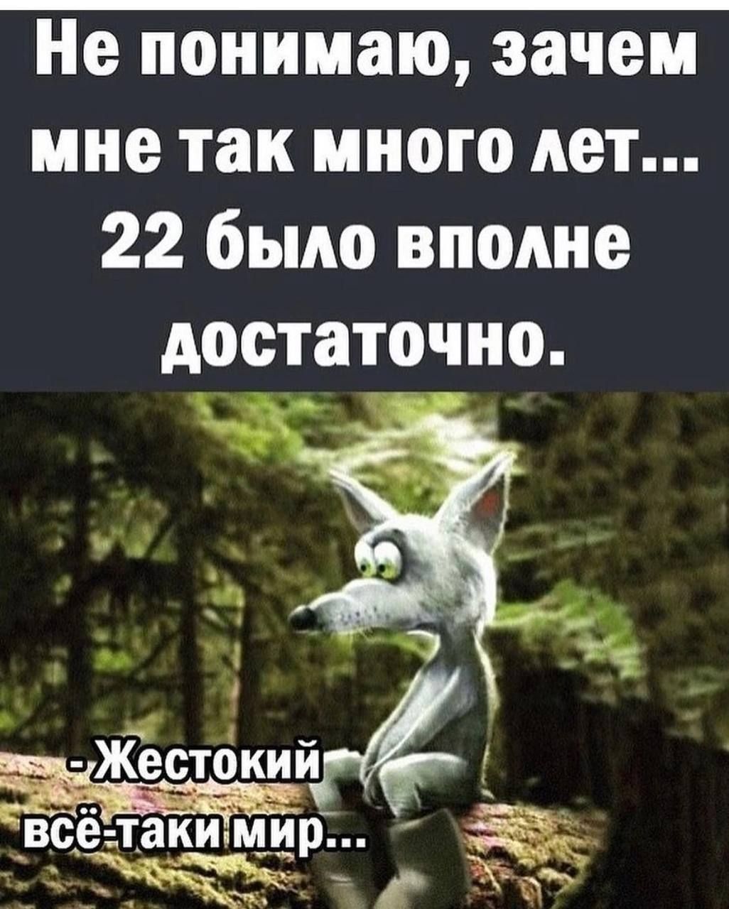 Не понимаю зачем мне так много лет 22 было вполне достаточно _жЁстёкийгЁ вс_ёт_аким_и