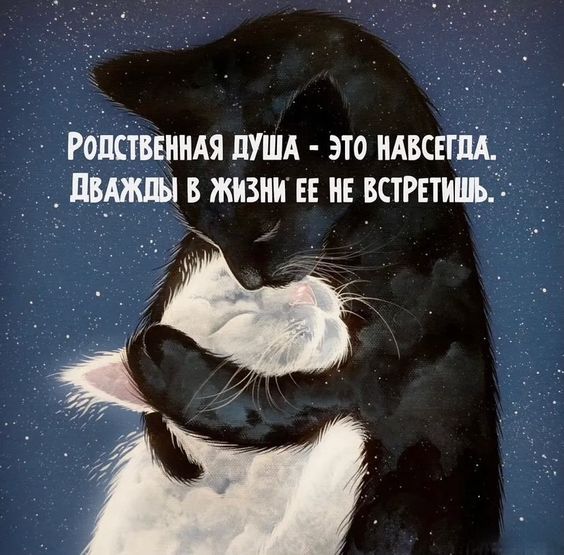 Ропсіввиидя пушл это идвсшц пвщы в жизни и и варить _