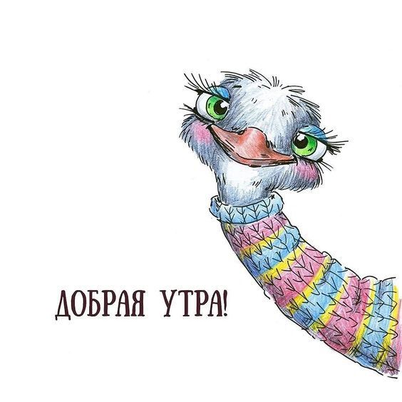 ДОБРАЯ УТРА