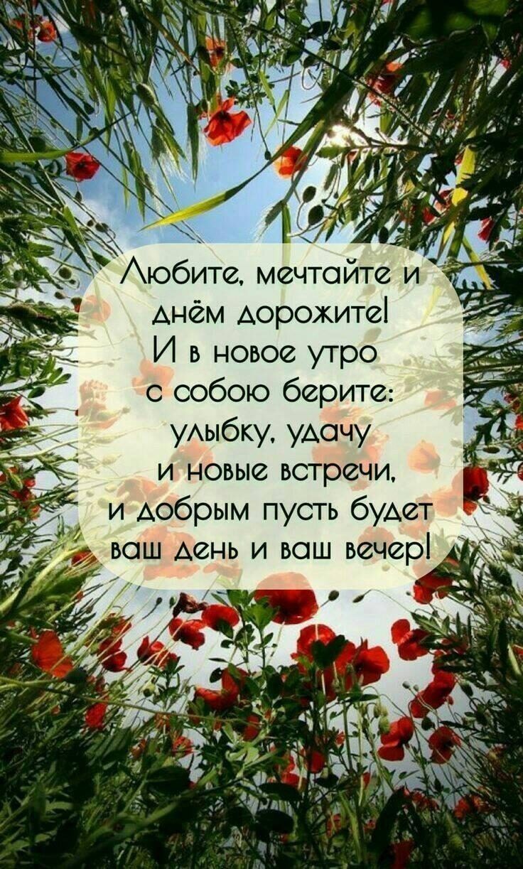 днём Аорожитеі И в новое утро с собою берите уАыбку УАОЧУ и новые встречи и Аобрым пусть будет вош Аень и ваш вечері п