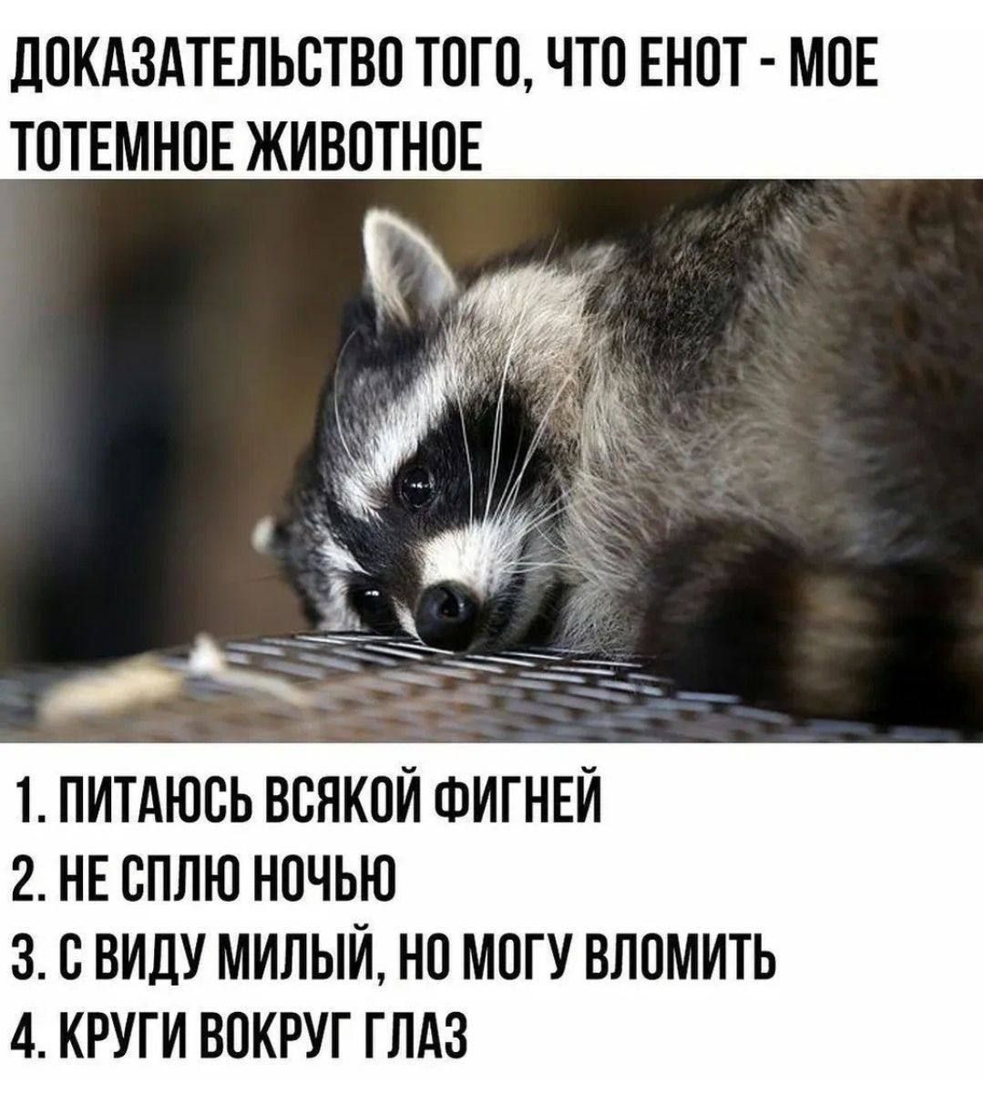 ППКАЗАТЕЛЬСТВО ТПГП ЧТП ЕНПТ М0Е ТОТЕМНПЕ ЖИВОТНОЕ 1 ПИТАЮВЬ ВСЯКПЙ ФИГНЕЙ 2 НЕ СППЮ НПЧЬЮ 3 С ВИПУ МИЛЫЙ НП МПГУ ВЛПМИТЬ 4 КРУГИ ВОКРУГ ГЛАЗ