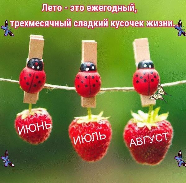 дето это ежегодный трошпячиый мидий кусочп плиииз