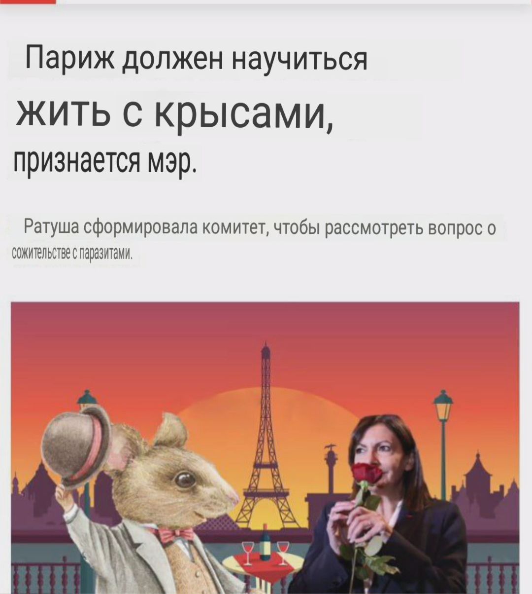 Париж должен научиться ЖИТЬ С КРЫСЭМИ признается мэр Рат ша сформировала комигел чтбы рассмотреть вопрос п 1 ищу