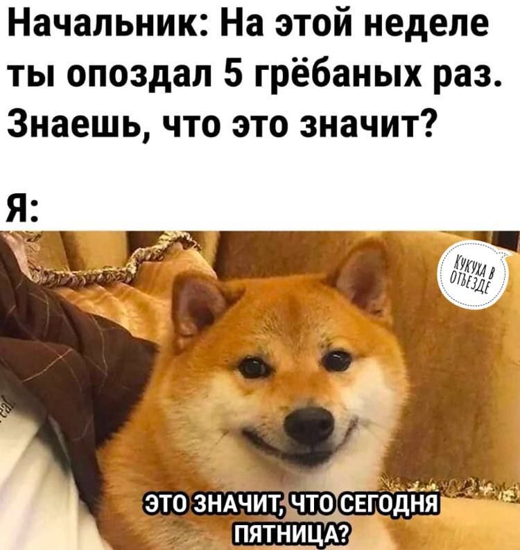 Начальник На этой неделе ты опоздал 5 грёбаных раз Знаешь что это значит