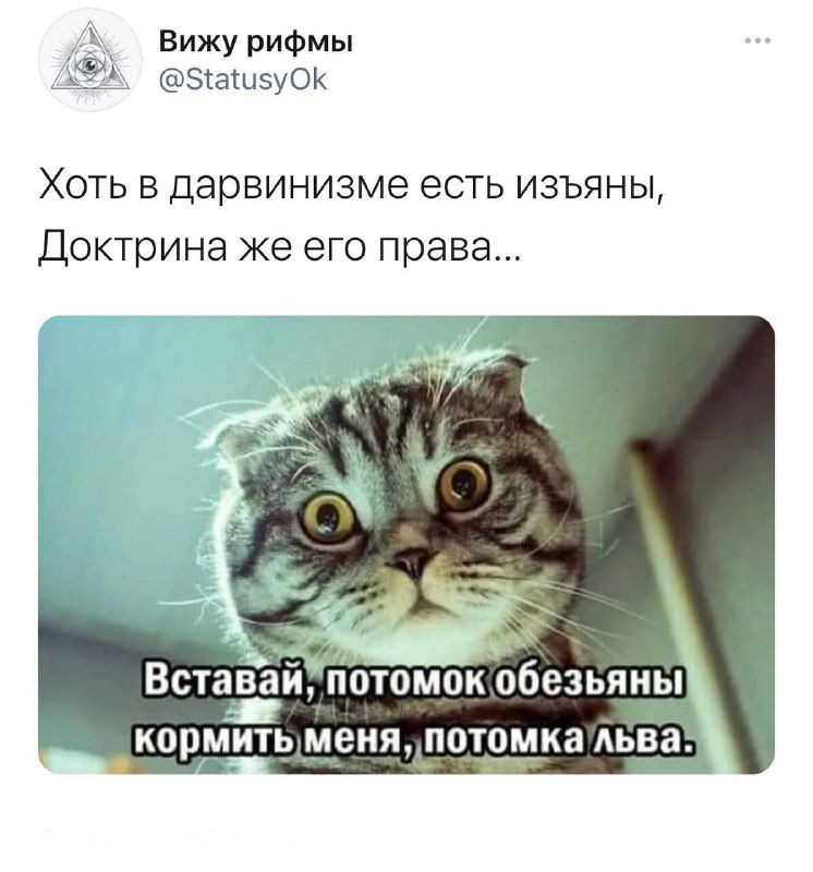 Вижурифмы Біашзуок Хоть дарвинизма есть изъяны Доктрина же его права кормит меняпотомкадьва
