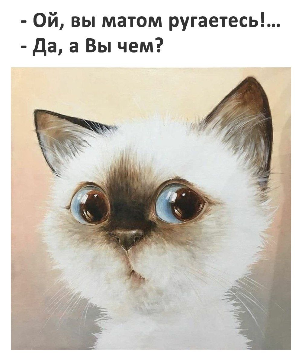 Ой вы матом ругаетесь да а Вы чем