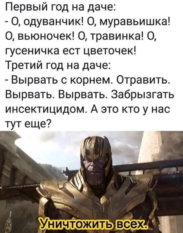 Первый год на даче 0 одуванчик 0 муравьишка О вьюночек О травинка О гусеничка ест цветочек Третий год на даче Вырвать с корнем Отравить Вырвать Вырвать Забрызгать инсектицидом А это кто у нас