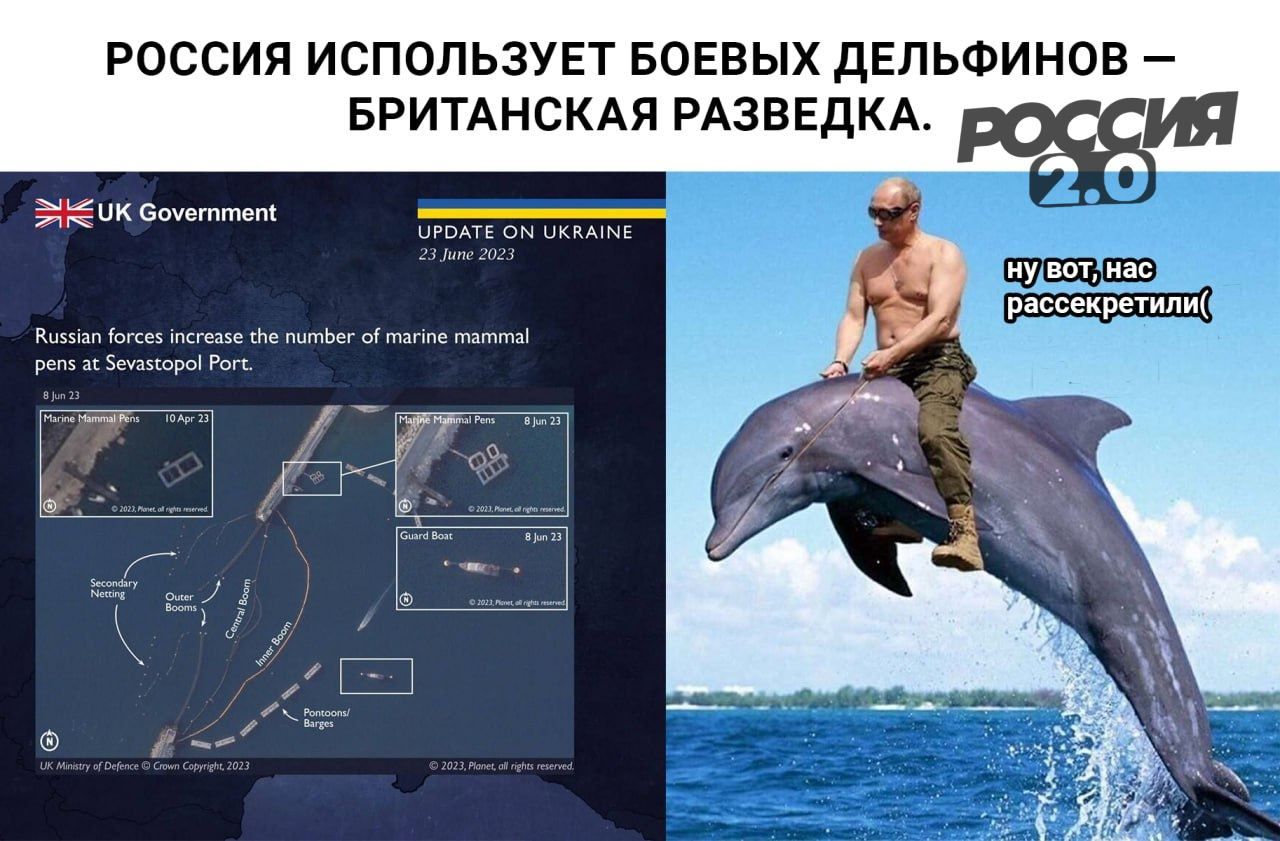 Россия испопьзуп БОЕЕЫХ дЕПЬФИНОЕ