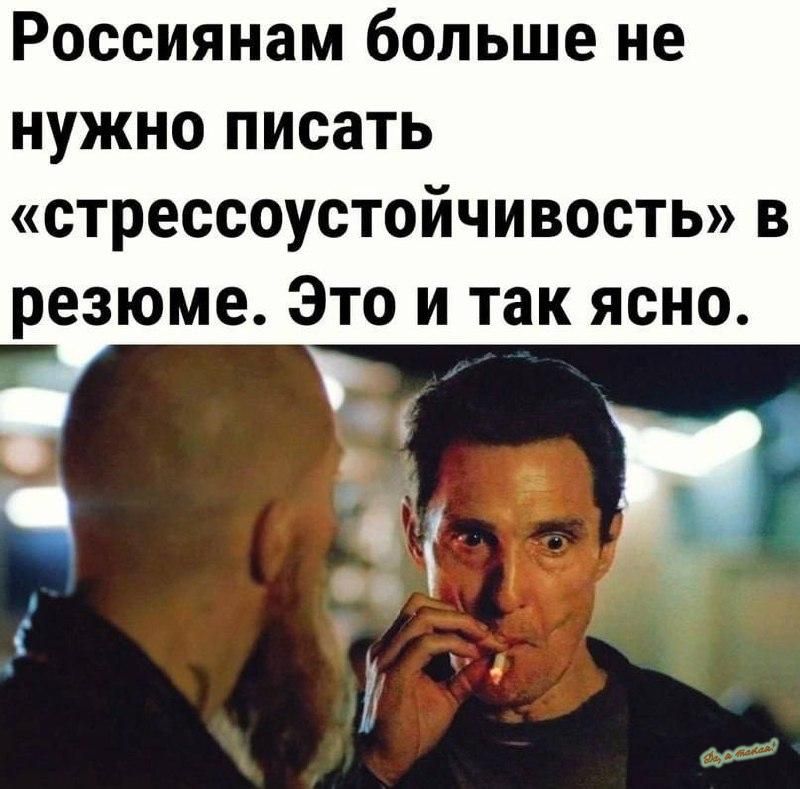 Россиянам больше не нужно писать стрессоустойчивость в резюме Это и так ясно
