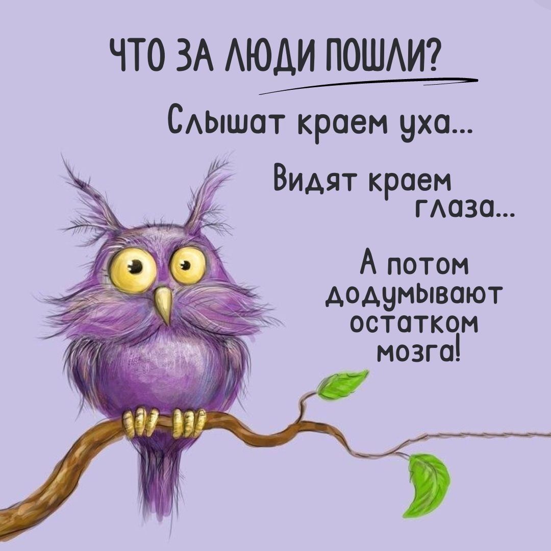 ЧТО ЗА АЮДИ ПОШАИЁ _ САЫШОТ краем уха Видят краем гАаза А потом АодумЫвают остатком мозга