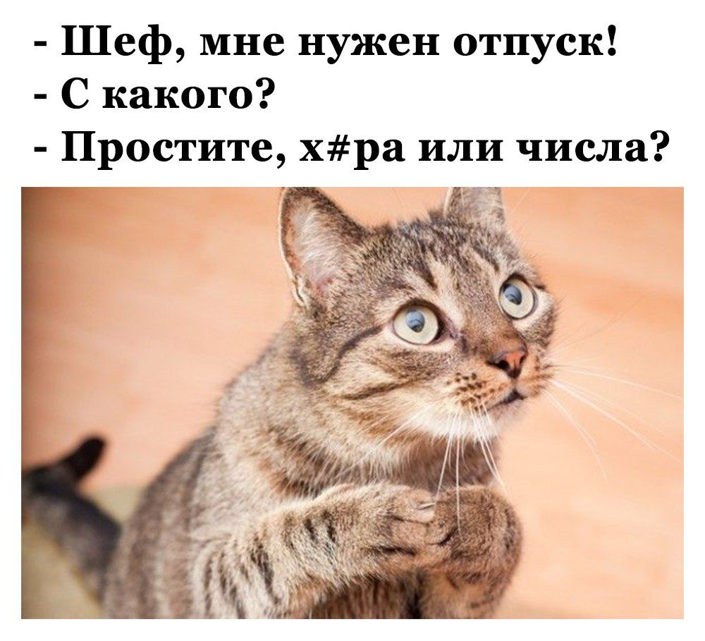 Шеф мне нужен отпуск С какого Простите хра или числа