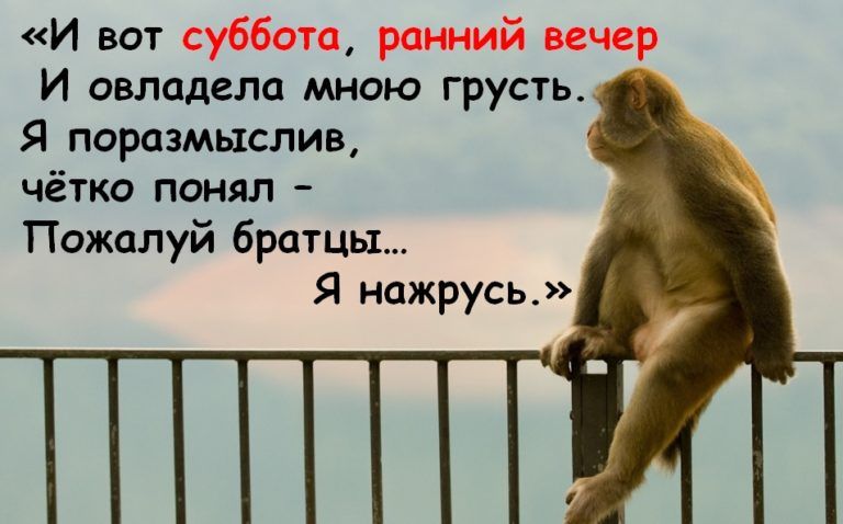 И вот суббота ранний вечер И овладела мною грусть Я поразмыслив чётко понял Пожалуй братцы Я нажрусь
