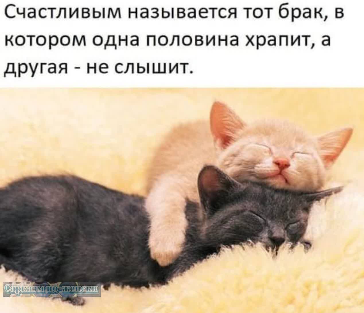 Счастливым называется тот брак в котором одна половина храпит а другая не слышит