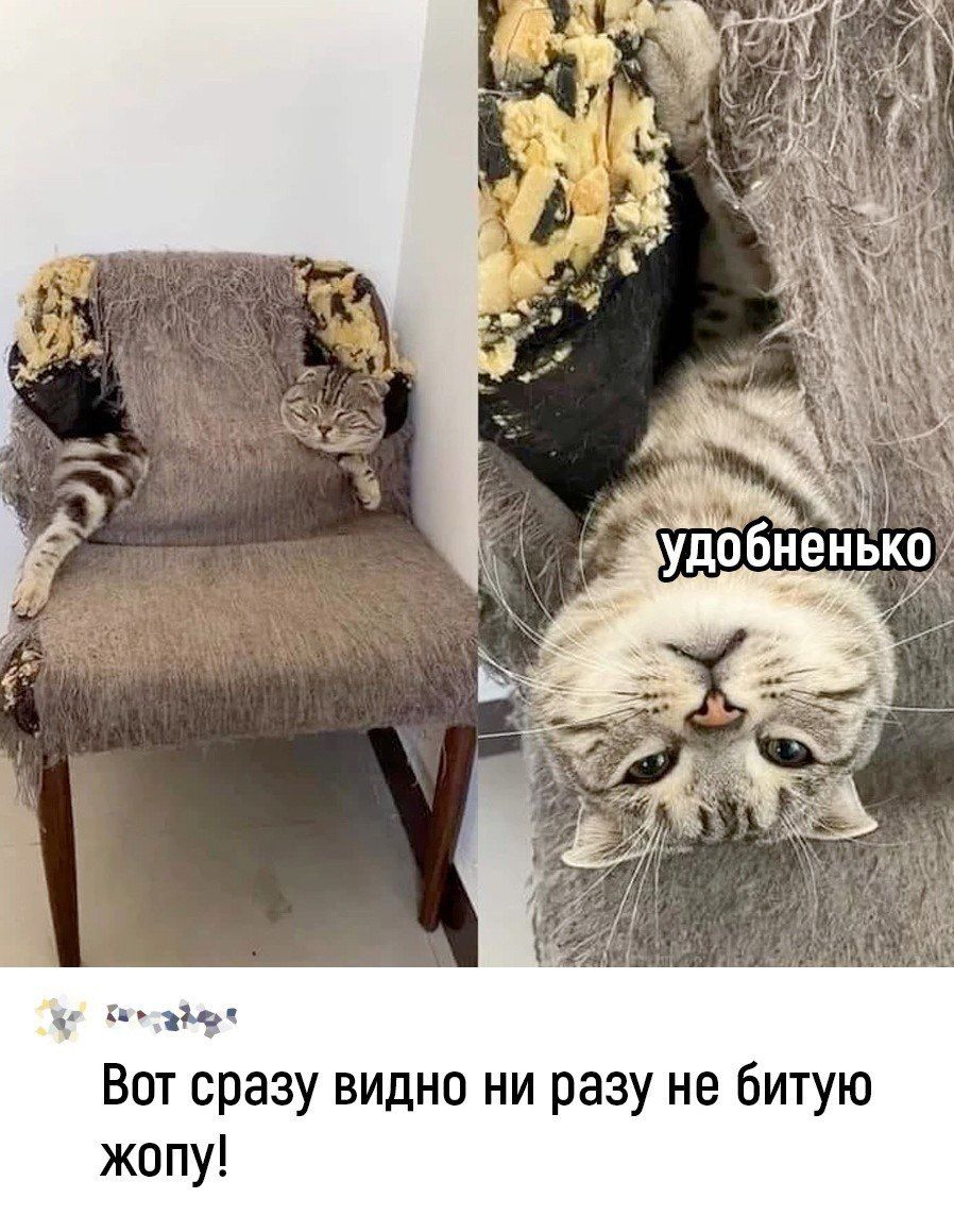 Вот сразу видно ни разу не битую жопу