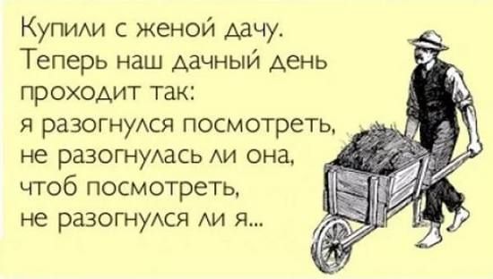 Купим с женой дачу Теперь наш дачный Аень проходит так я разогнуАся посмотреть не разогнуАась АИ она чтоб посмотреть не разотуАся АИ я