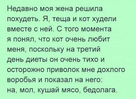 Недавно моя жена решила похудеть Я теща и кот худели вместе с ней С того момента я понял что кот очень любит меня поскольку на третий день диеты он очень тихо и осторожно привопок мне дохпого воробья и показал на него на мол кушай мясо бедолага