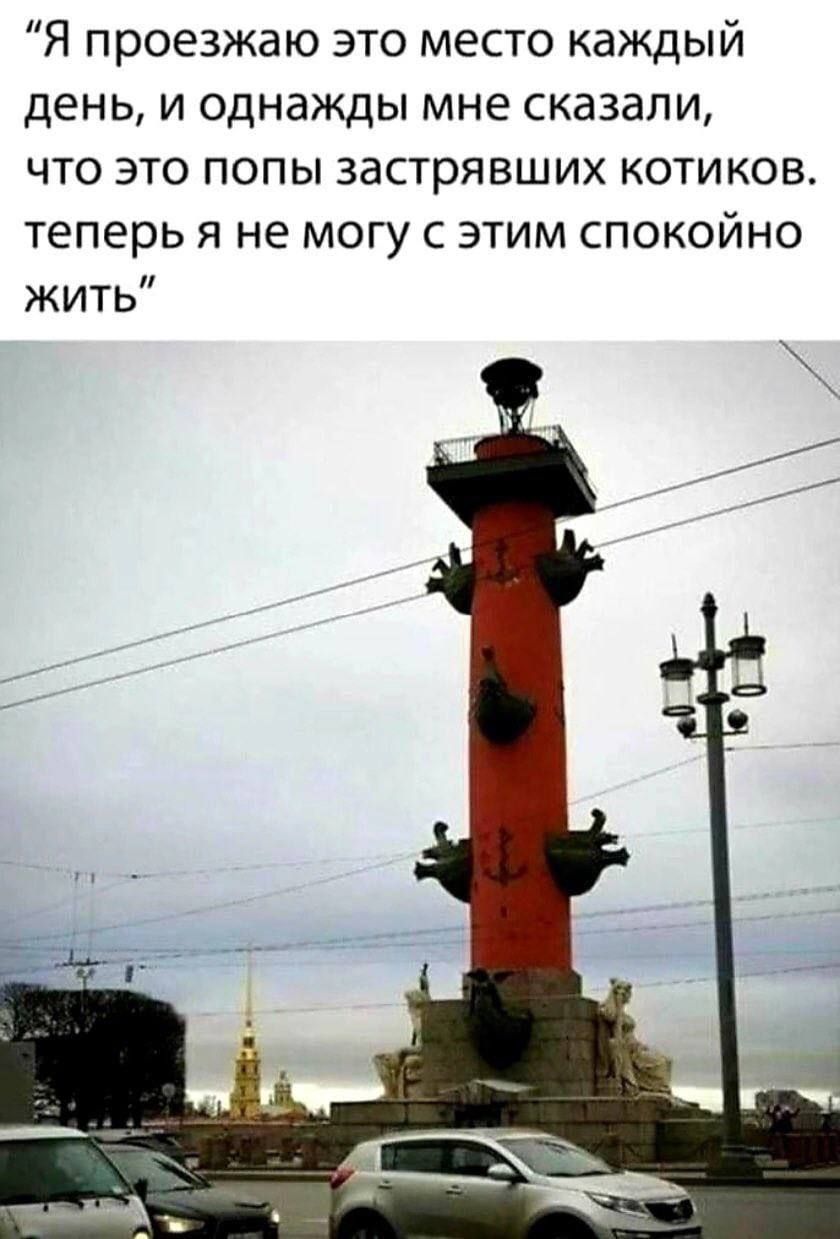 Я проезжаю это место каждый день и однажды мне сказали что это попы застрявших котиков теперь я не могу с этим спокойно жить