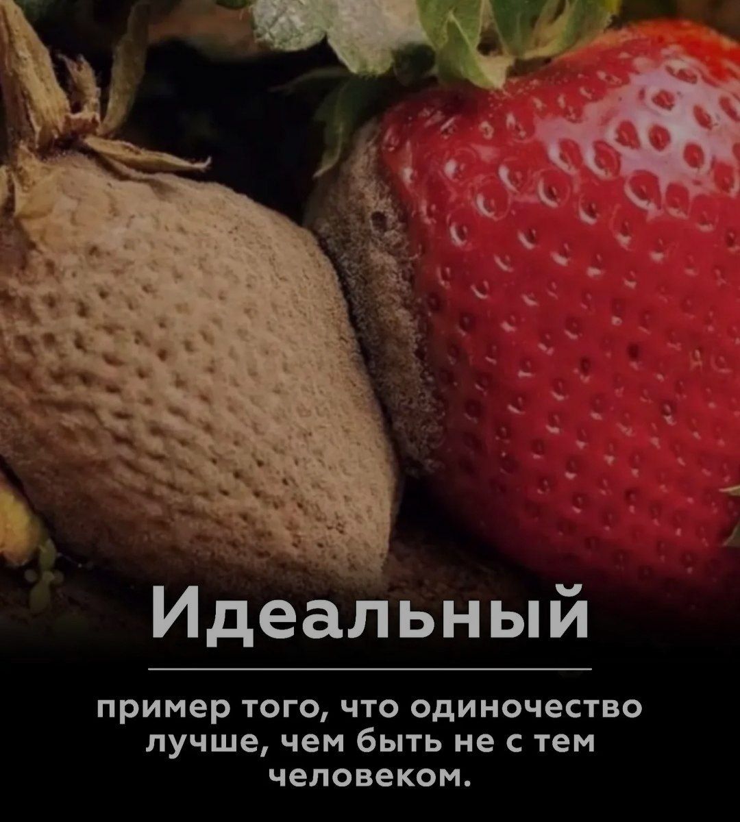 Идеальный пример того что одиночество лучше чем быть не с тем человеком
