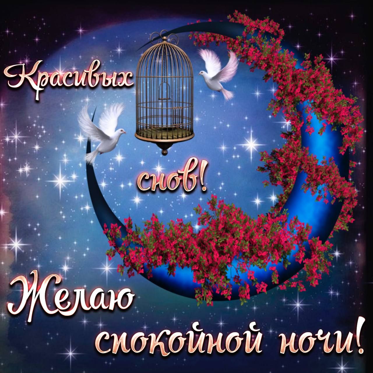 сиокоинои ночи