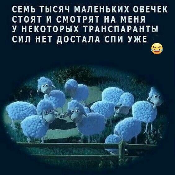 СЕМЬ ТЫСЯЧ МАЛЕНЬКИХ ОВЕЧЕК СТОЯТ И СМОТРЯТ НА МЕНЯ У НЕКОТОРЫХ ТРАНСПАРАНТЫ СИЛ НЕТ дОСТАЛА СПИ УЖЕ