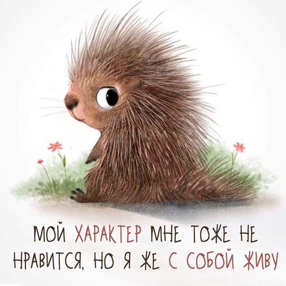 мои ХАРАКТЕР мнь ТОЖЕ Нк НРАВИТСЯ но я ЖЕ совой Живу