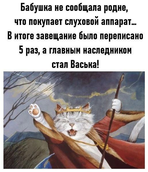 Бабушка не споіцапа родне что покупает спухпвпй аппарат В итоге завещание было переписано 5 раз а главным наследником стал Васька
