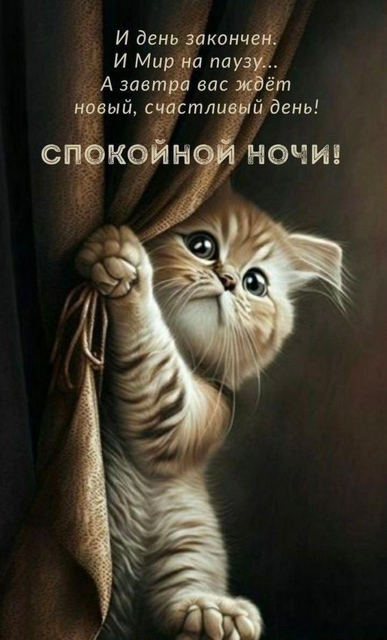 И день законче И Мир на пау Азавтра вас вый счастли